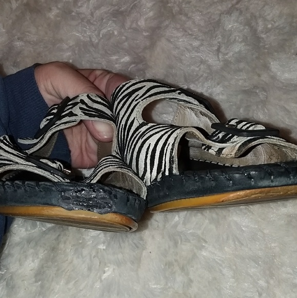 Laplume zebra slides Italy - Picture 6 of 6